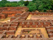 古代インドの仏教大学の跡