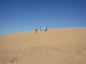 これぞ砂丘！風紋の美しいモルツォグ砂丘！