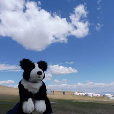 No.20260529-002 ごいもんの写真